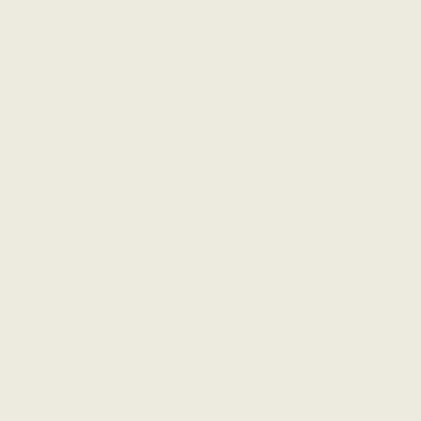 Grey White (RAL 9002)